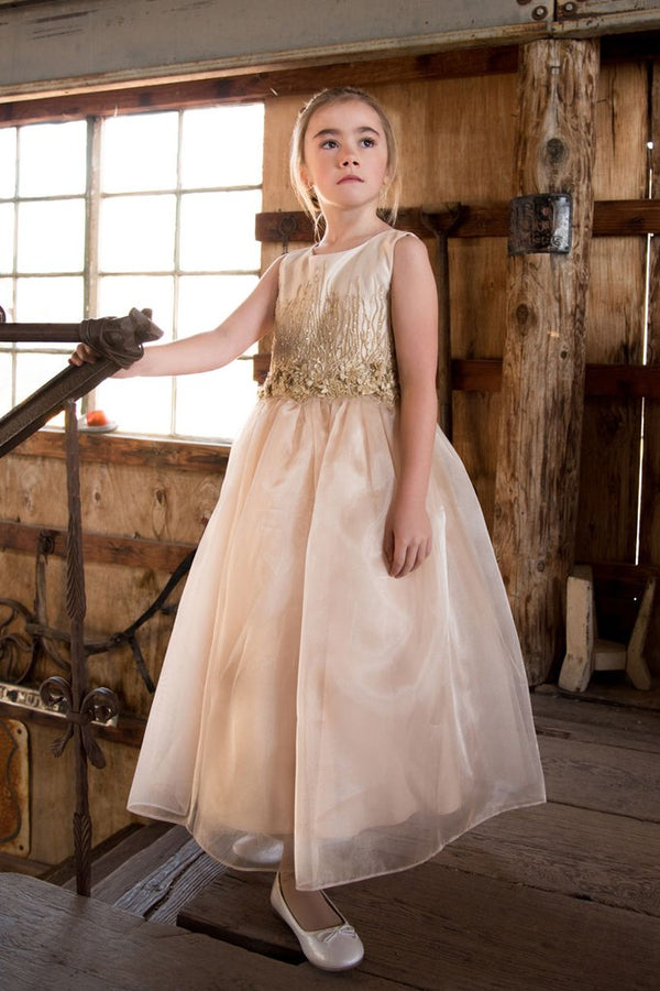 Scarlett Glamour Dress - Blush