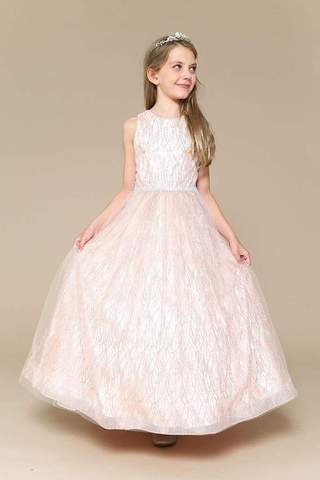 Blush Ivy Dress