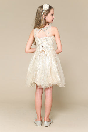 Champagne Paris Dress